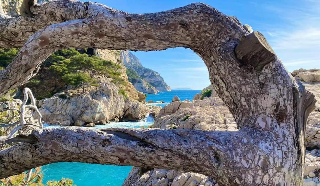 Mon Petit Paradis, Cassis Centre Apt 90 M2, 200 M Mer, Terr Plein Sud, Clim Park Prive المظهر الخارجي الصورة